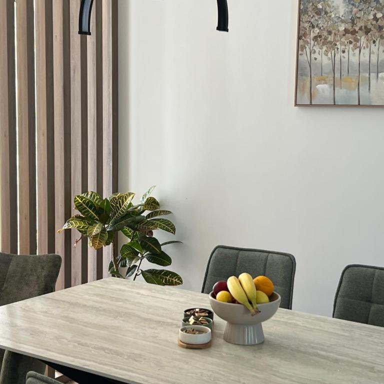 Apartments HAS - Porodični Apartman Tipa "Suite" sa Balkonom - 25