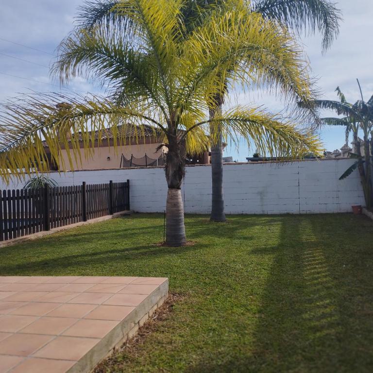 Villa el olivar - Haus mit 1 Schlafzimmer - 10