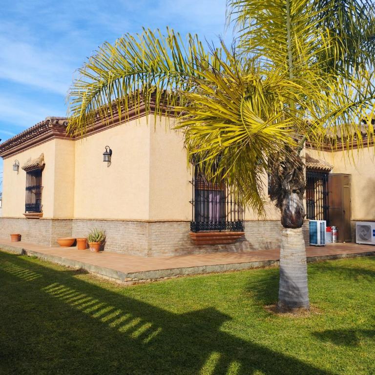 Villa el olivar - Haus mit 1 Schlafzimmer - 12