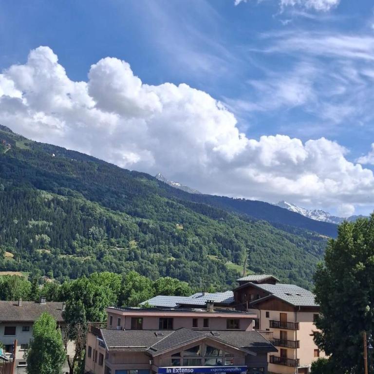 Studio vue montagne - 2 pers. - FR-1-411-1043 - Monolocale - 3