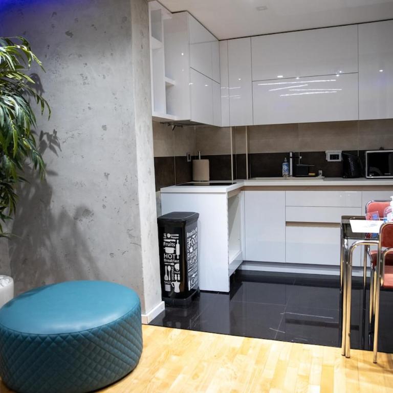 Mac Number One City Center Designer Apartment - One-Bedroom Premium Apartment - 3
