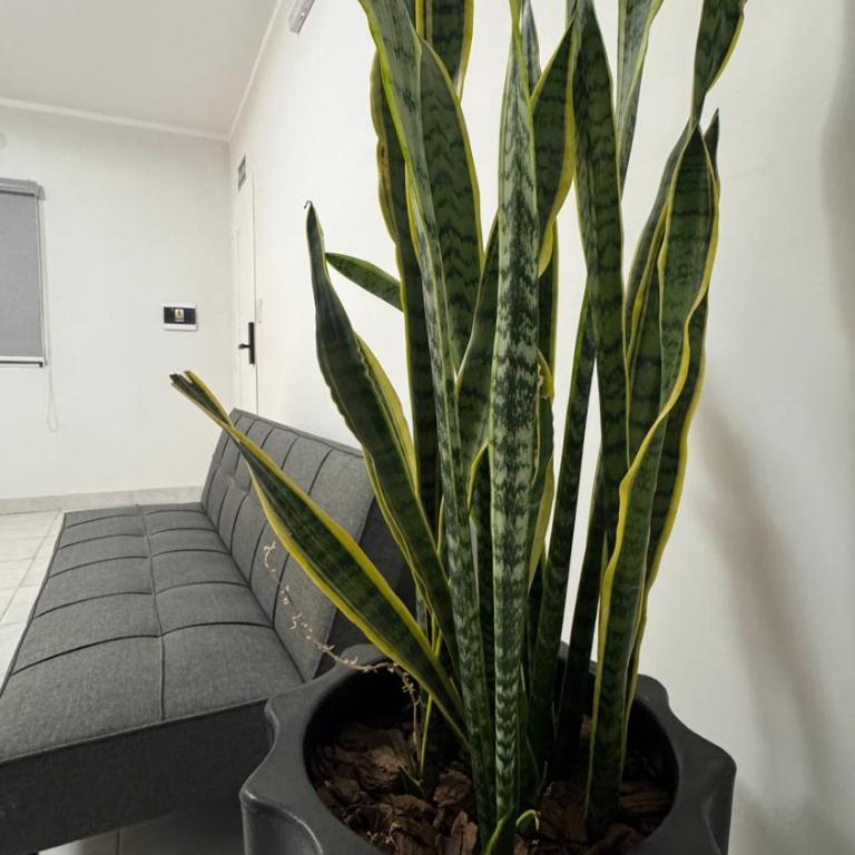 Slow Living Homes - Apartamento de 1 dormitorio - 10