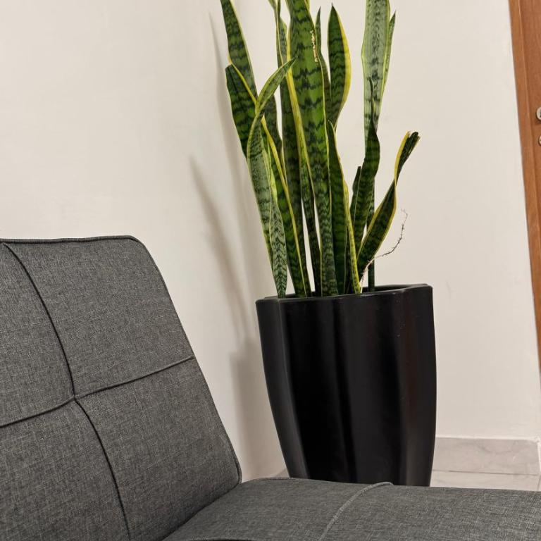 Slow Living Homes - Apartamento de 1 dormitorio - 8