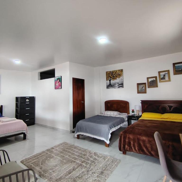 Cuarto en galápagos - One-Bedroom Apartment - 1
