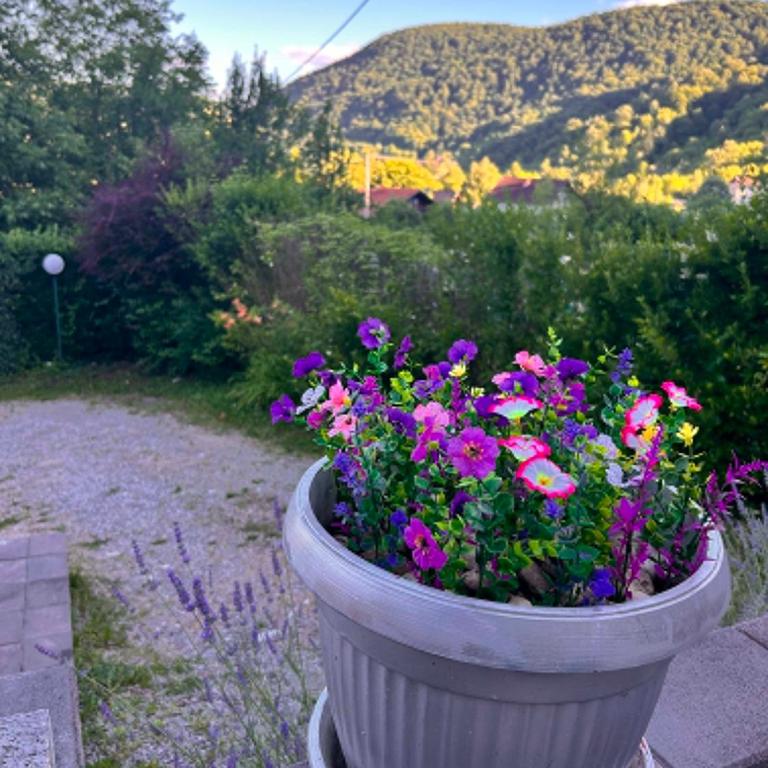 Green Hill, villa za odmor sa bazenom - Vila - 40