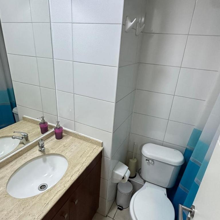 Andino Suites, Departamentos Full equipados en el centro de Santiago. - Two-Bedroom Family Apartment - 17