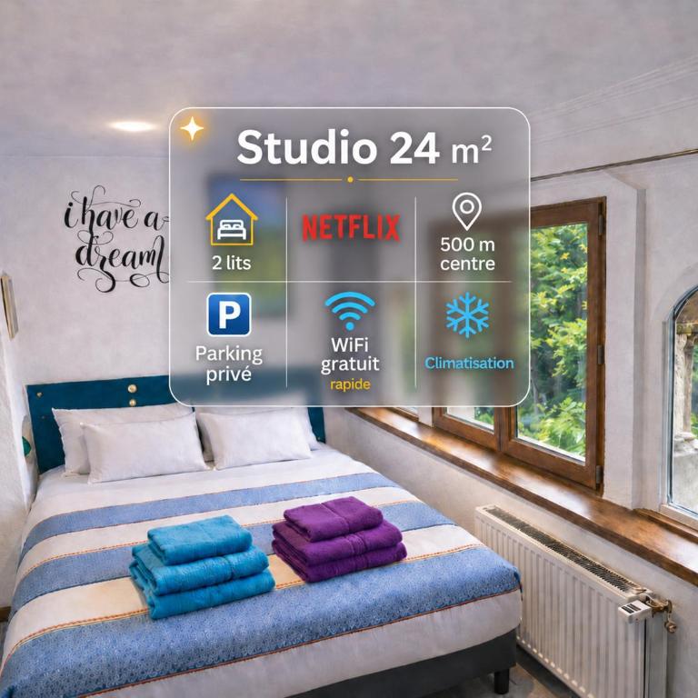 Studio PREMIUM cosy classé 24m2, 2 lits, proche centre, Netflix, Climatisation, Parking privé - Apartment - 1