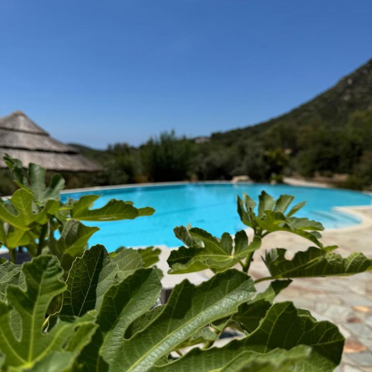 Villa Harmònia - Villa con vistas al mar - 10