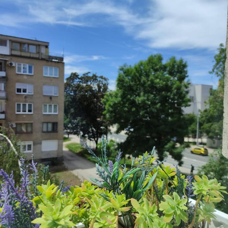 Central Stay Sarajevo - Two-Bedroom Apartment - 3