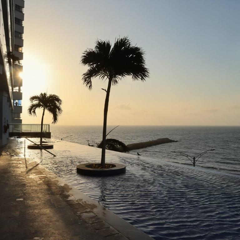 Edificio Altamar28 - One-Bedroom Apartment - 8