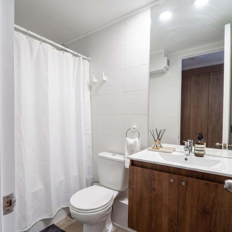 Centro de Santiago I Plaza de Armas - One-Bedroom Apartment - 3