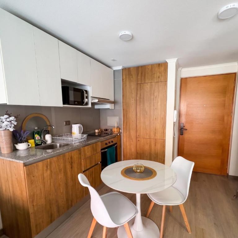 Centro de Santiago I Plaza de Armas - One-Bedroom Apartment - 8