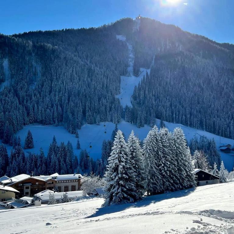 Surrounded by green - Luxury Chalet at the foot of the Dolomites - Apartamento - 17