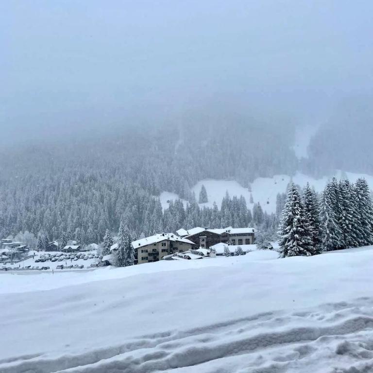 Surrounded by green - Luxury Chalet at the foot of the Dolomites - Apartamento - 18