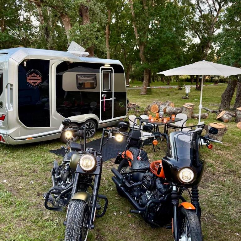Neptun Beach Caravans - Caravan - 2
