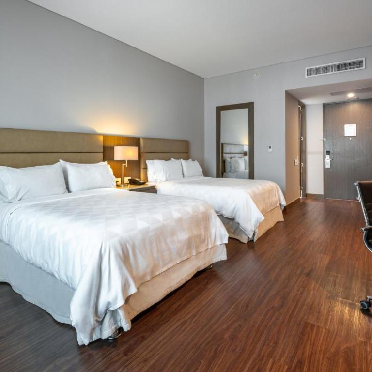 Holiday Inn Bucaramanga Cacique by IHG - Habitación Estándar - 6