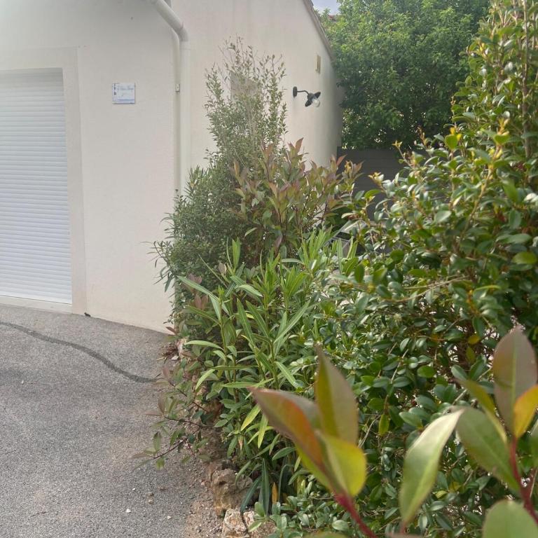 Charming 4-person apartment with garden - One-Bedroom Apartment - 7