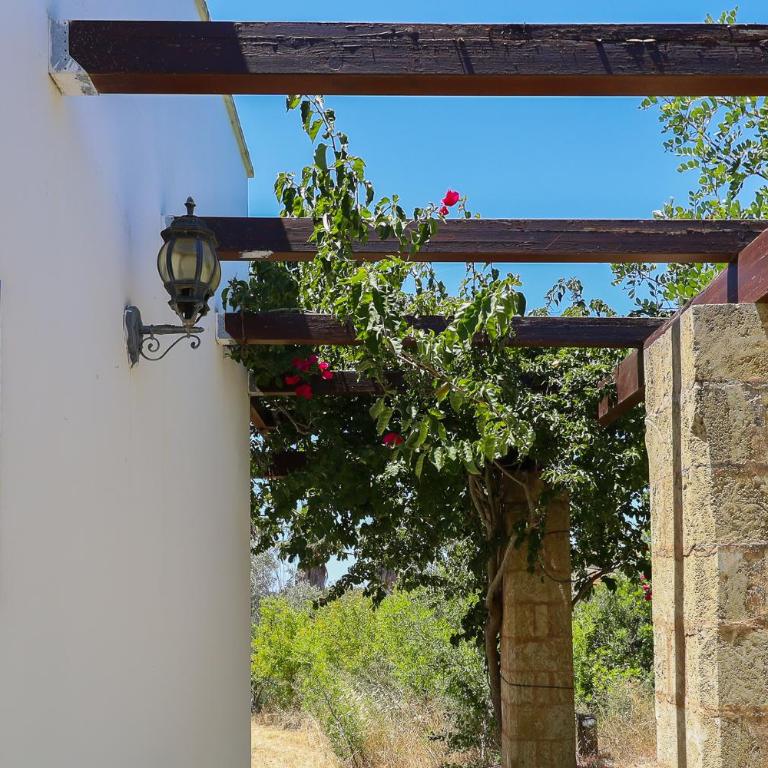 Uva Regina by Casa di Marco - Villa - 6