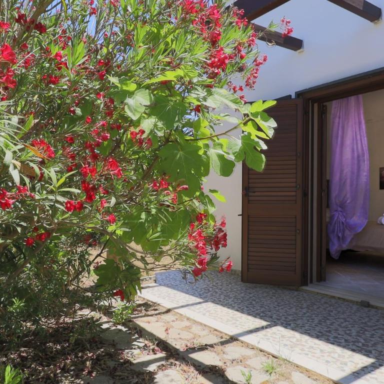 Uva Regina by Casa di Marco - Villa - 14