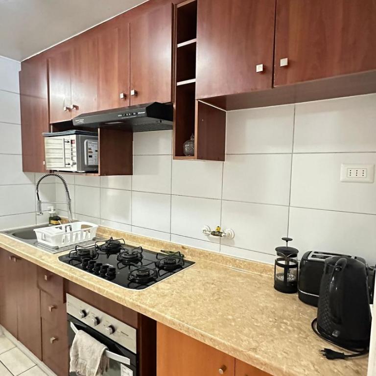 Andino Suites, Departamentos Full equipados en el centro de Santiago. - Three-Bedroom Deluxe Apartment - 14