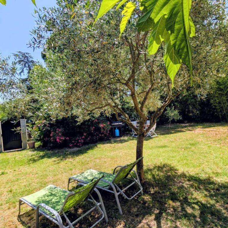 Mazet à Uzès, proche du haras national, wifi et parking privé gratuit - Maison de Vacances - 12