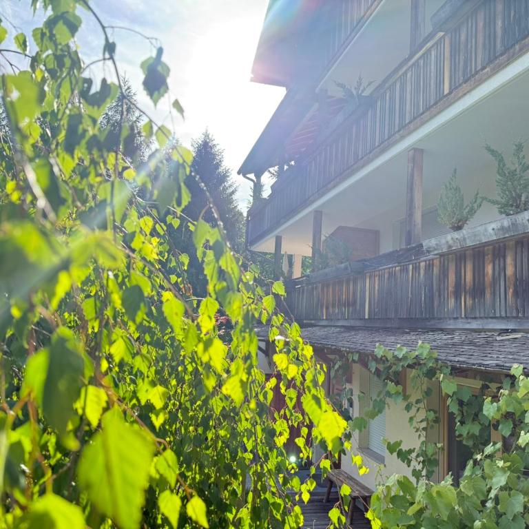 Fuchsmaurer Plose - Apartments bei Brixen - Appartamento Monolocale - 3