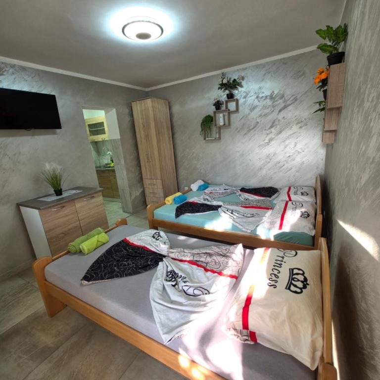 City Apartmani - Studio sa Pogledom na Planinu - 3