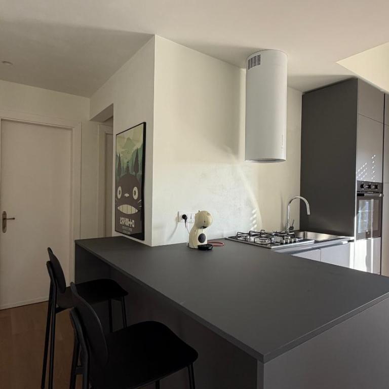 Totoro's House - Appartement 2 Chambres - 17
