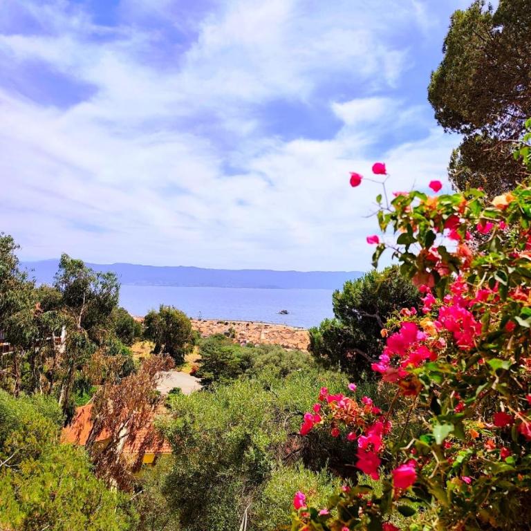 Premium - 1 bedroom apartment - Panoramic Sea View at Les Sanguinaires - Appartement 1 Chambre - 21