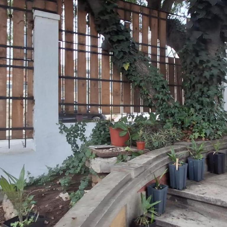 El gran Jacarandá - One-Bedroom Apartment - 19