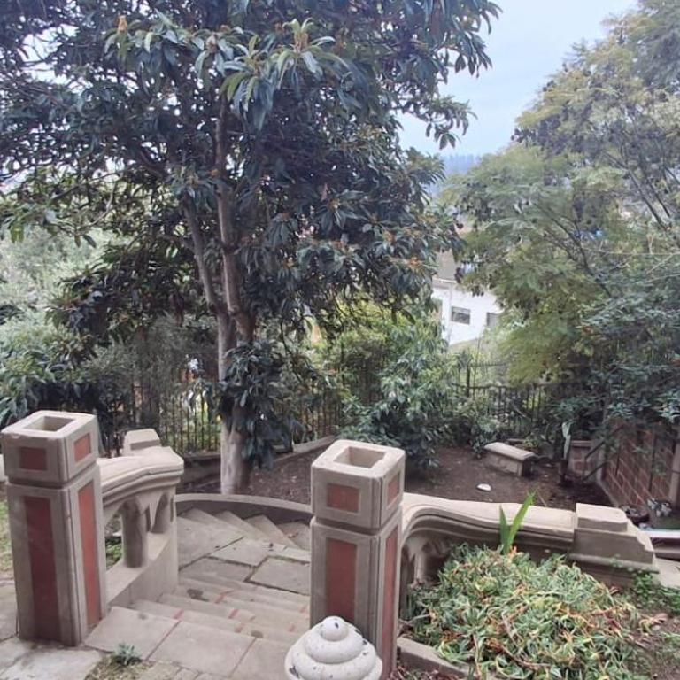 El gran Jacarandá - One-Bedroom Apartment - 27