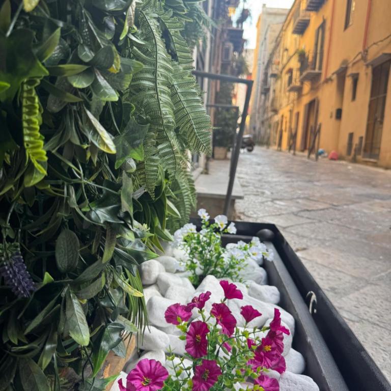 Sicilian House - Apartamento de 1 dormitorio - 20
