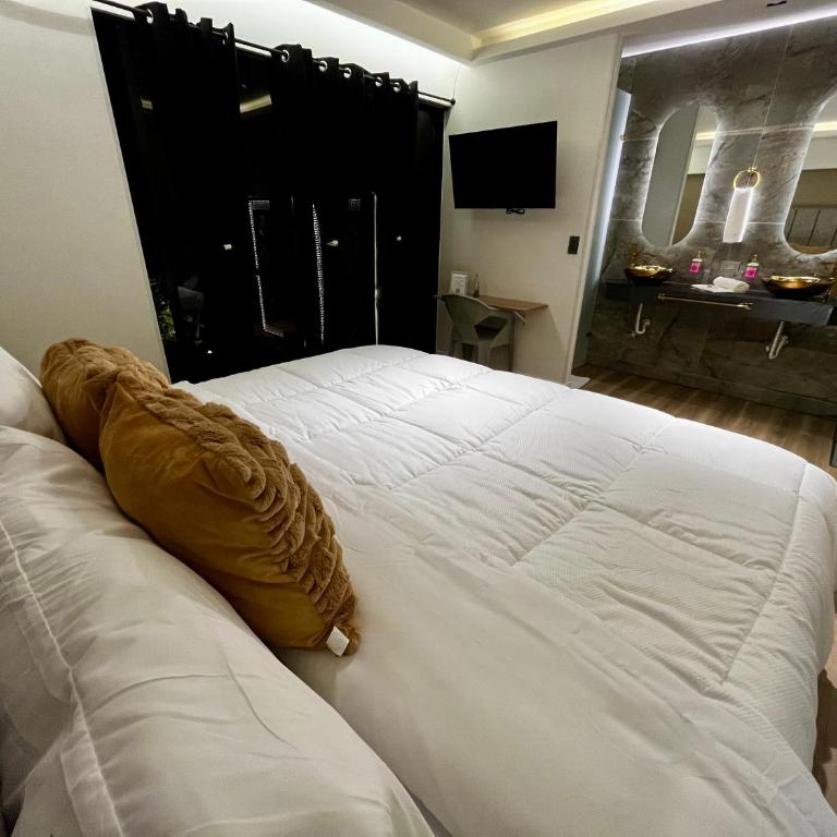 Lumina Hotel - Norte, confort y elegancia - Habitación Deluxe con cama extragrande - 13
