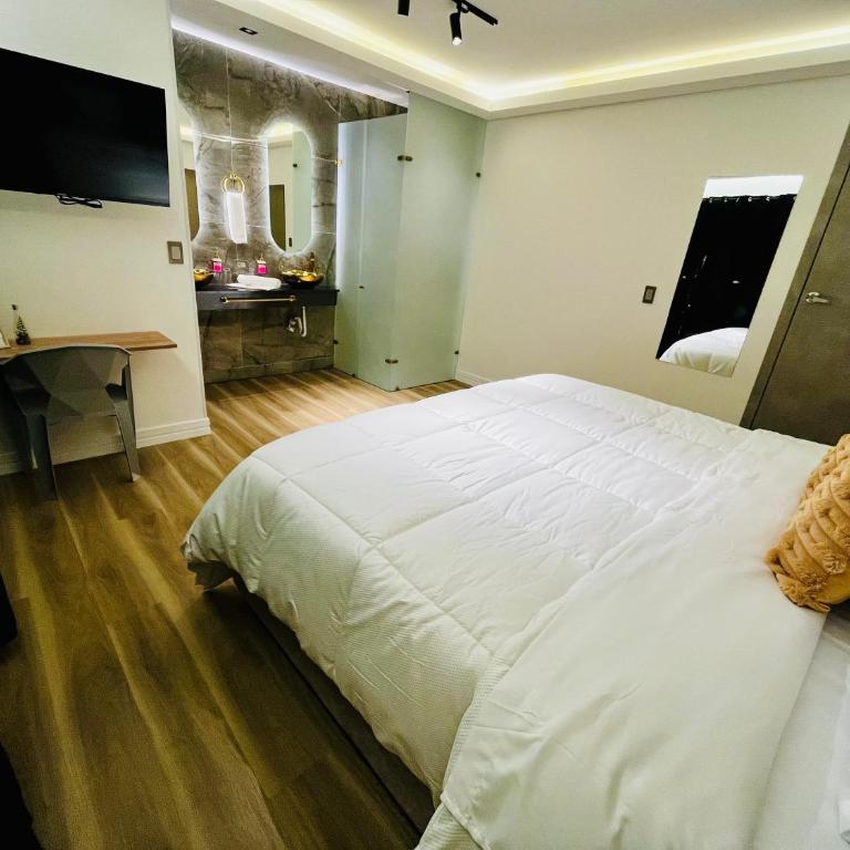 Lumina Hotel - Norte, confort y elegancia - Habitación Deluxe con cama extragrande - 12