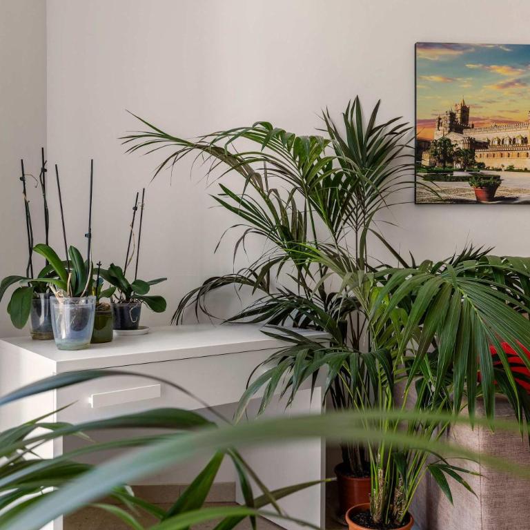 Casa Ninetta - Terrace near Central Station - Apartment - 7