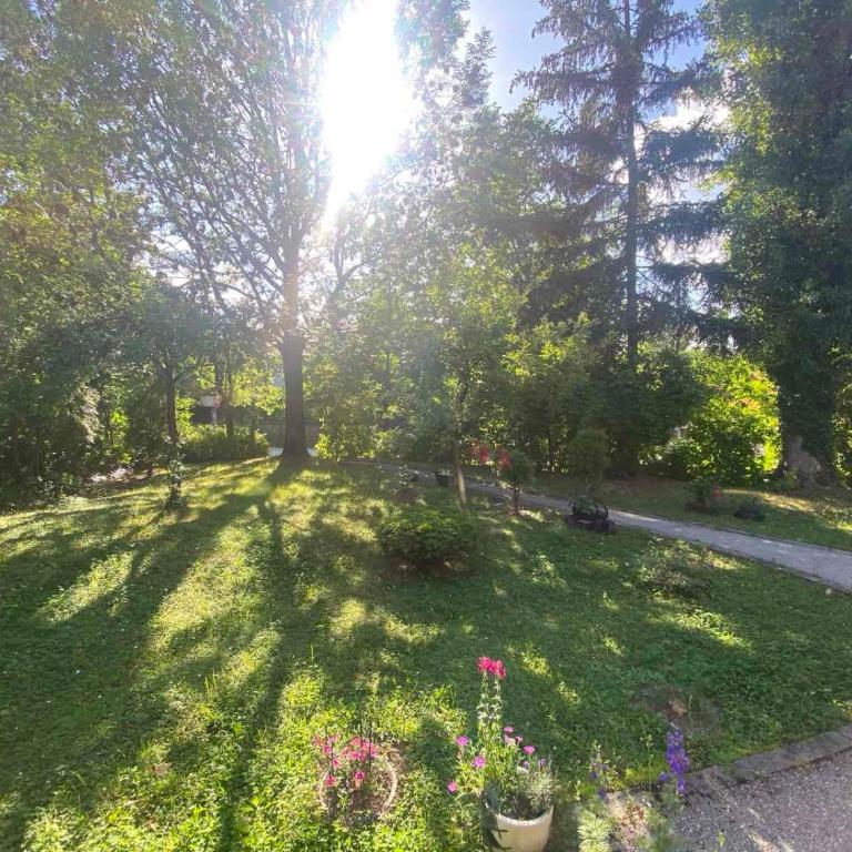 Medeni Apartment 2 - Apartman sa 1 Spavaćom Sobom - 2