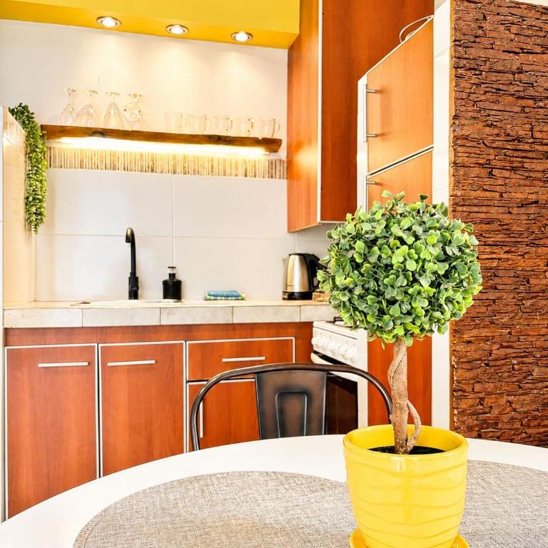 Cabañas Sublime Bolson - Apartamento Superior - 32