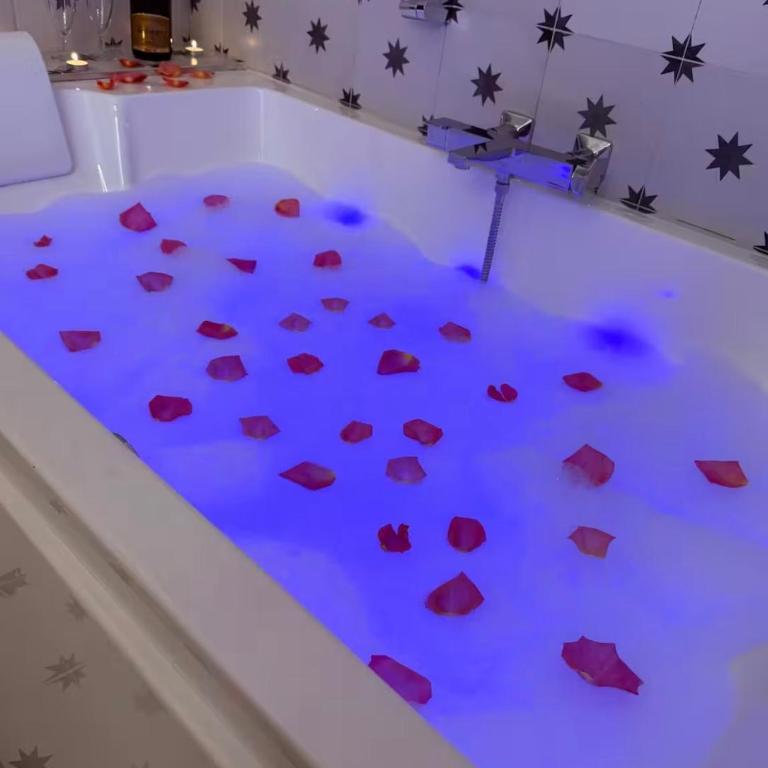 LOVE Suite - Balnéo - Vidéoprojecteur - Plein Centre - Free WiFi - Appartement 1 Chambre - 16