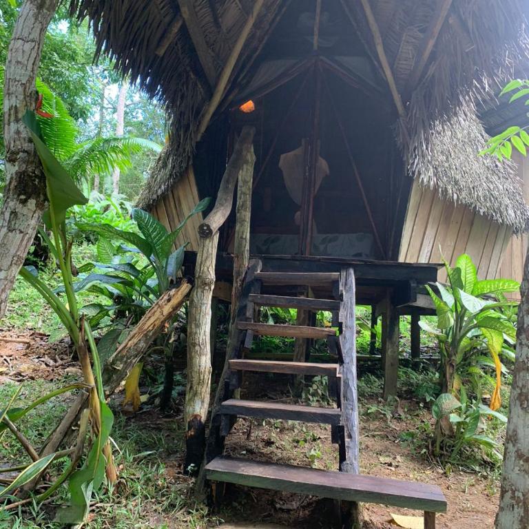 Jungle Cabin - Satori Natural - Habitación Estándar - 1 cama grande - 24