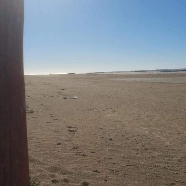 DellaMarca Beach - One-Bedroom Apartment - 8