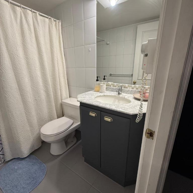 Loft in Providencia, costanera center con estacionamiento - Apartamento de 1 dormitorio - 16