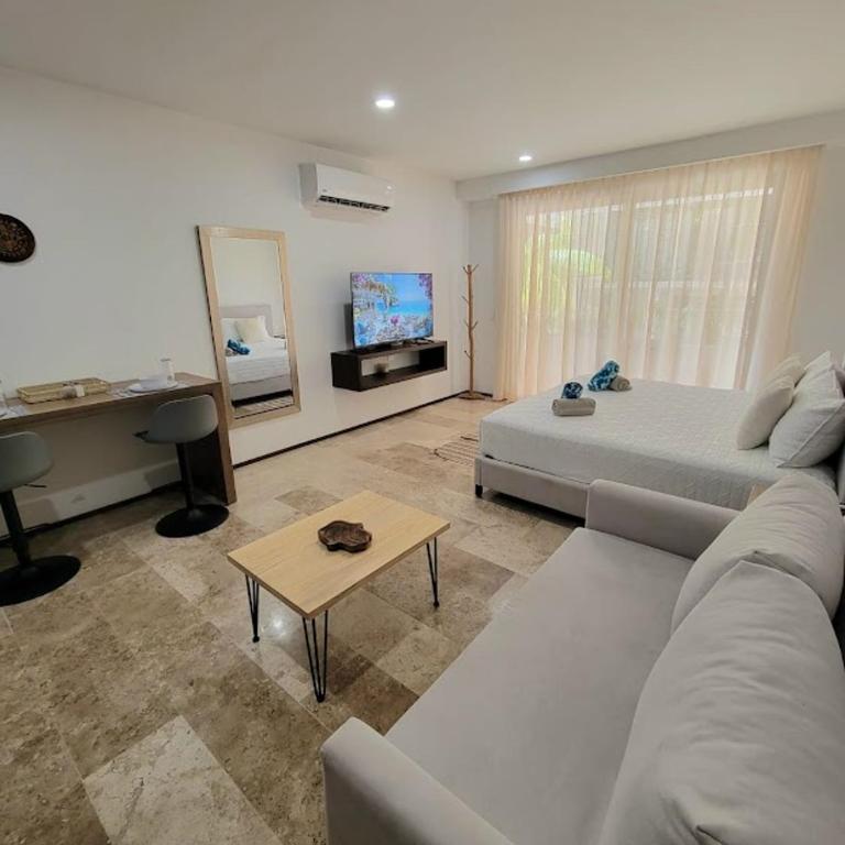 Moderno, ubicación y amenidades, todo en uno - Appartement 1 Chambre - 3