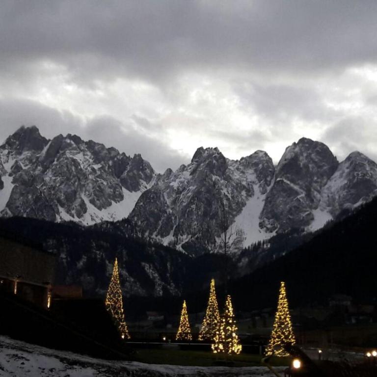 Garconniere Pachler - Apartment mit Blick auf die Berge - 4