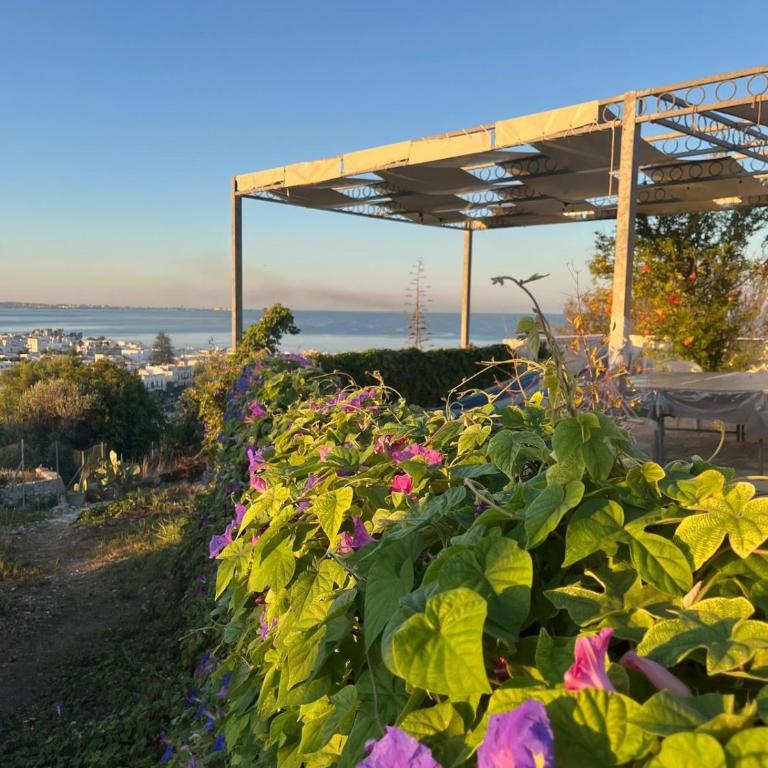 Il Giardino Nascosto - Apartamento de 1 dormitorio - 1