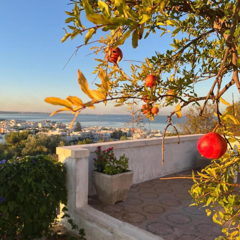 Il Giardino Nascosto - Apartamento de 1 dormitorio - 24