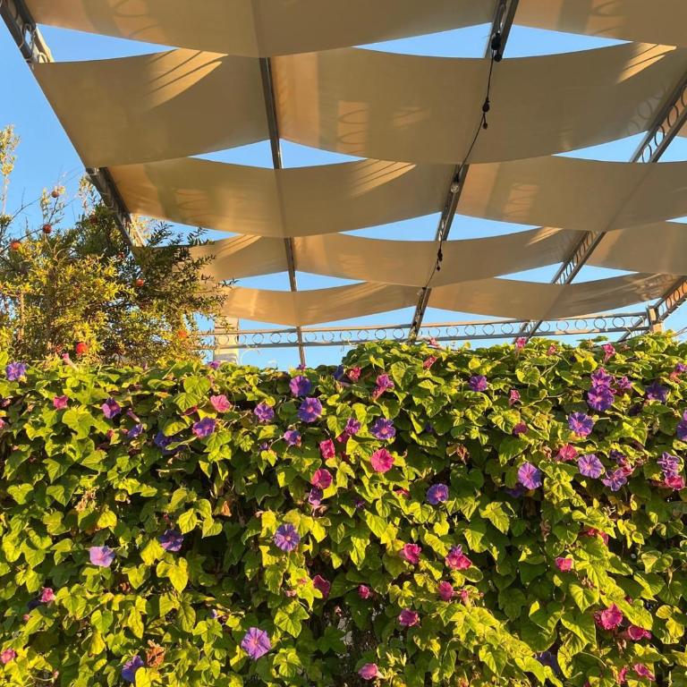 Il Giardino Nascosto - Apartamento de 1 dormitorio - 26