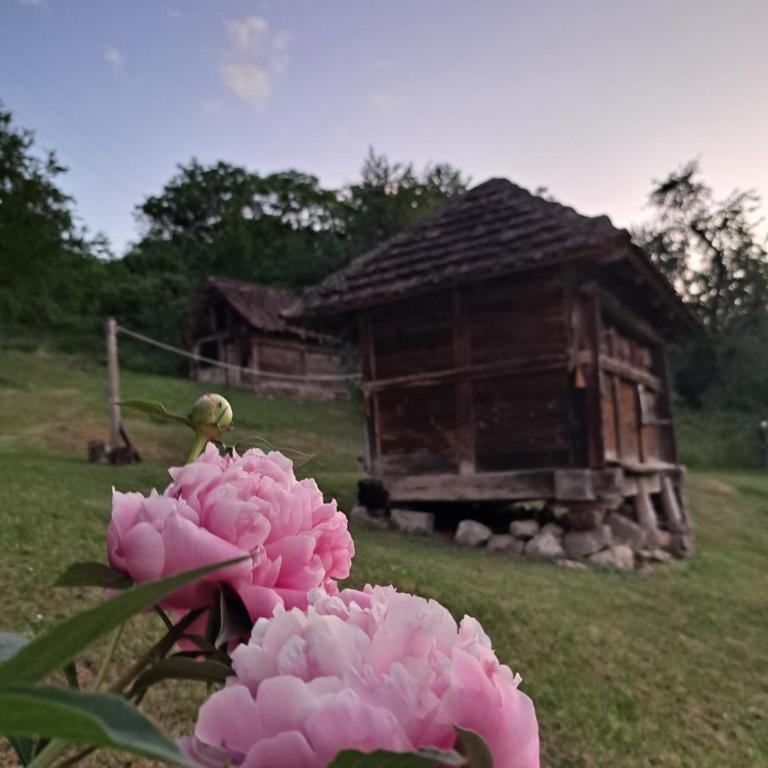 Simina kuća - Haus mit 2 Schlafzimmern - 16