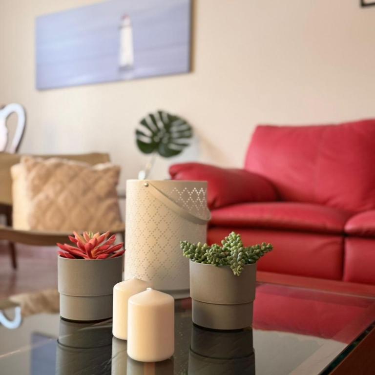 Increíble Suite en CDMX Estadio GNP Autódromo - Appartement 1 Chambre - 5