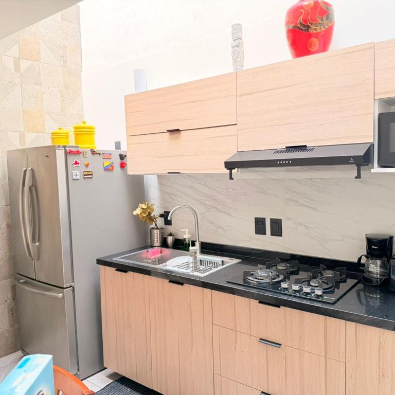 Increíble Suite en CDMX Estadio GNP Autódromo - Appartement 1 Chambre - 11