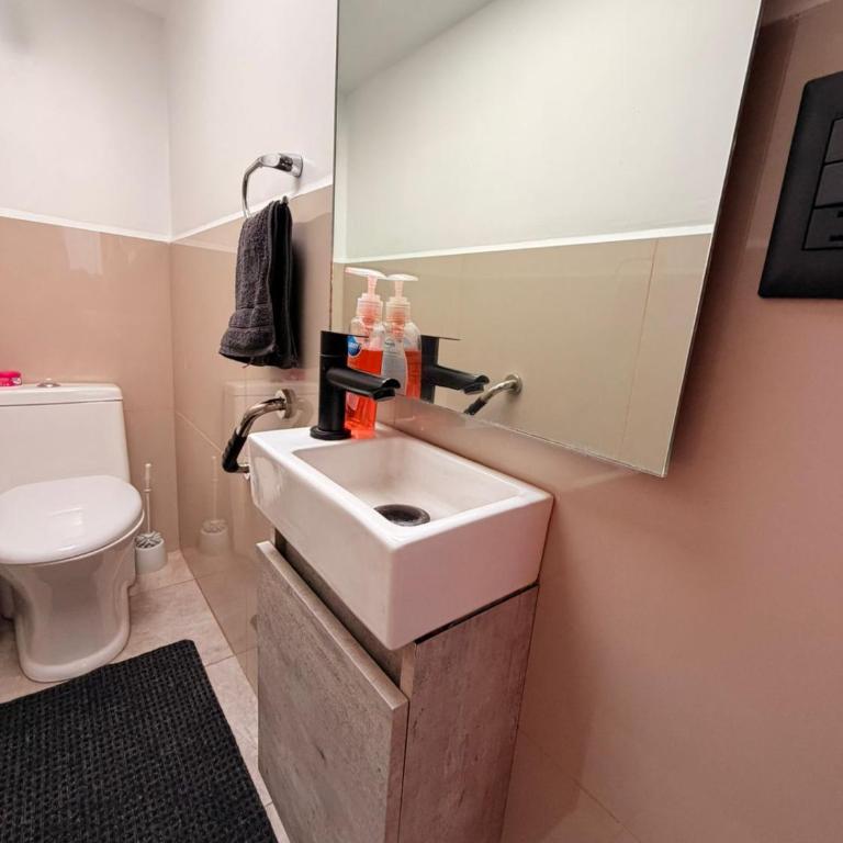 Increíble Suite en CDMX Estadio GNP Autódromo - Appartement 1 Chambre - 12